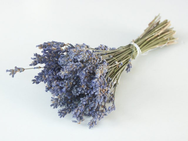lavender-bouquet-1506083-1279x959