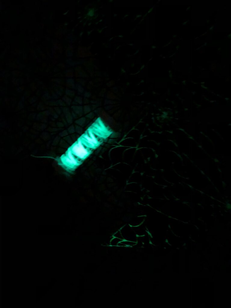 glowing bats