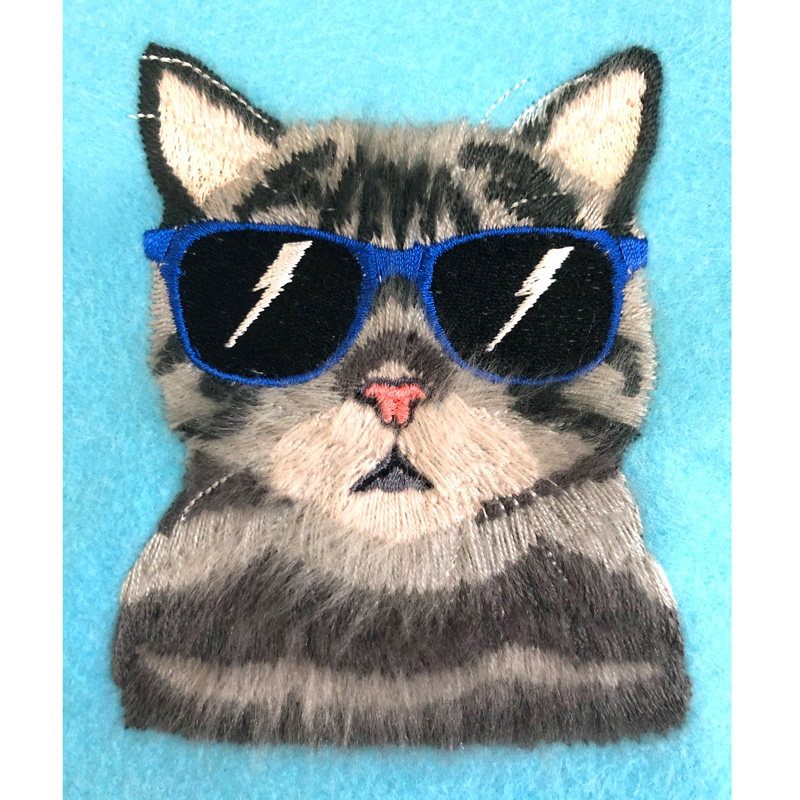 Peekaboo Pets Cool Cat
