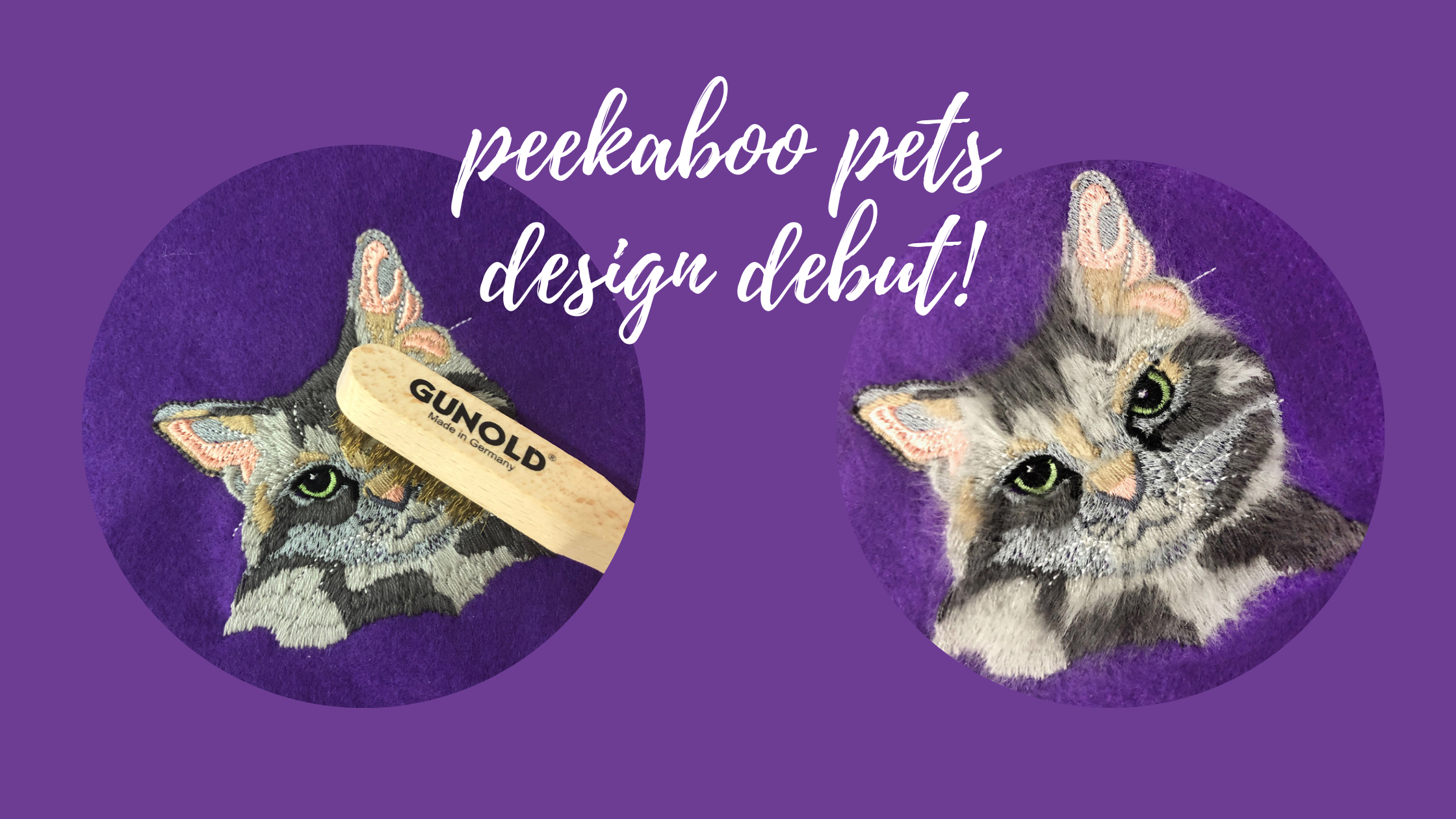 peekaboo pets debut