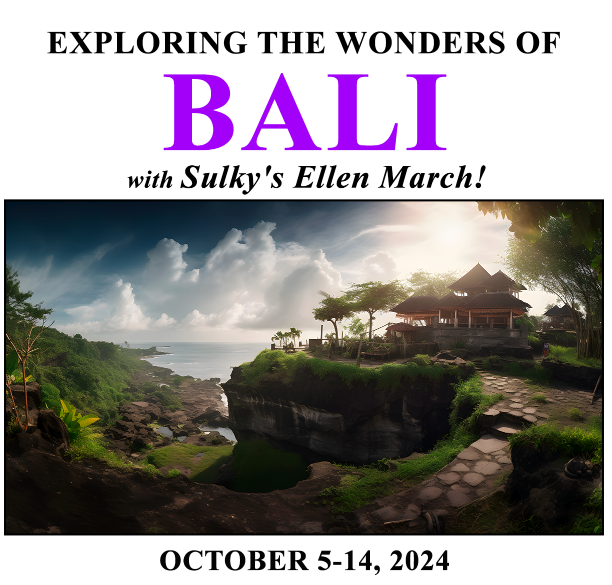 Bali Craftours Trip