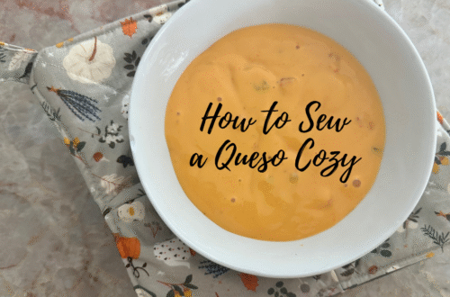 Queso Cozy on Table with Chips
