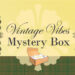 2025 Vintage Vibes Mystery Box
