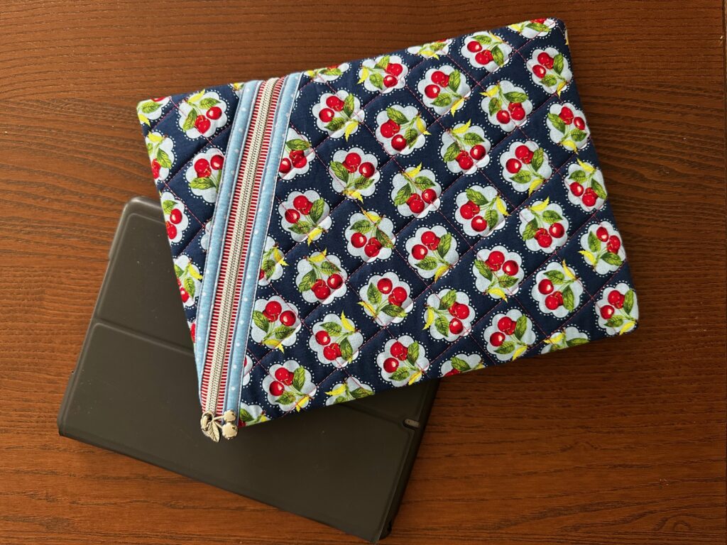 Hemingway Pouch with books and iPad