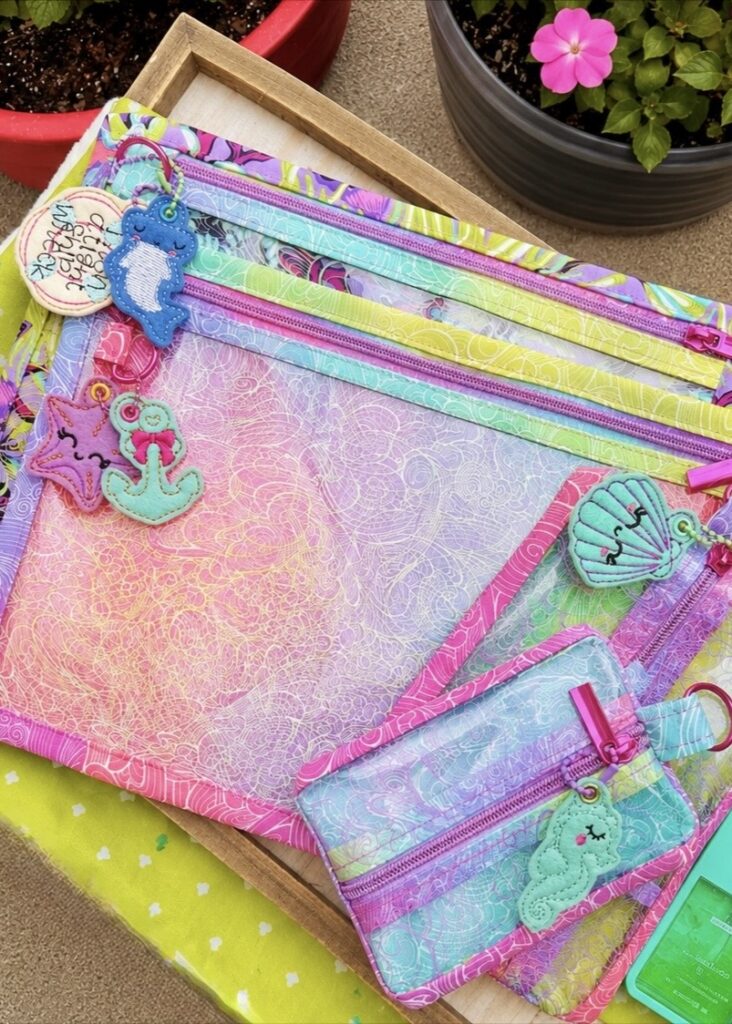 clear carryall cases