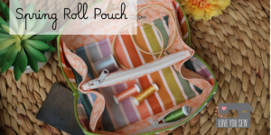Spring Roll Pouch