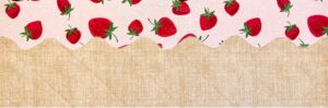 decorative topstitch on ice cream fabrics