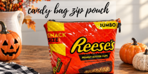 candy bag zip pouch